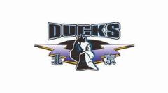 北京男籃官方：曾凡博左側(cè)腰椎橫突骨折 無需手術(shù)休養(yǎng)2-3個月