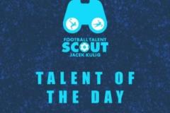 著名球探網(wǎng)站對王鈺棟的球探報(bào)告 模板馬丁內(nèi)利